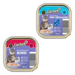 Cachet Ragout / Pastete* Katzenfutter & Katzenstreu Bei Aldi Nord.
